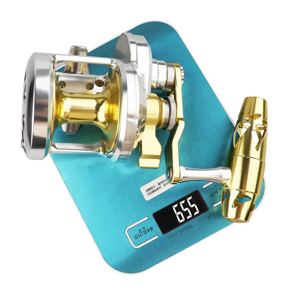 Ashconfish Conventional Reel