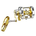 Ashconfish Conventional Reel