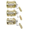 Conventional Saltwater Fishing Reel 50w 80w 2 Speed