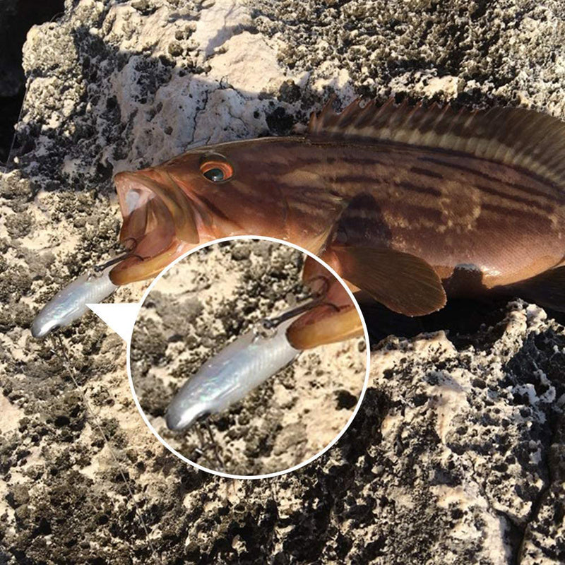 5pcs Kit Fishing Lure Soft Lure