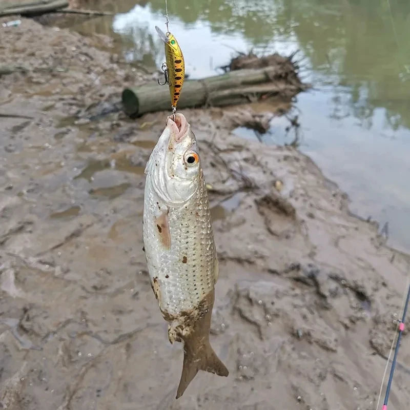5pcs Fishing Lures Kit